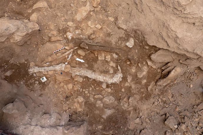 Hallan restos de 'homo sapiens' de hace 14.000 años en el yacimento de Santa Linya (Lleida)