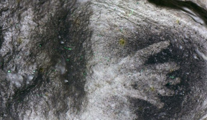 Muestra de arte rupestre en le cueva de Aurignac