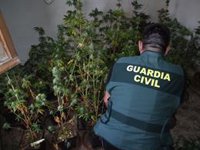 Dos detenidos en Alcaudete (Jaén) al desmantelar una plantación de marihuana en una vivienda