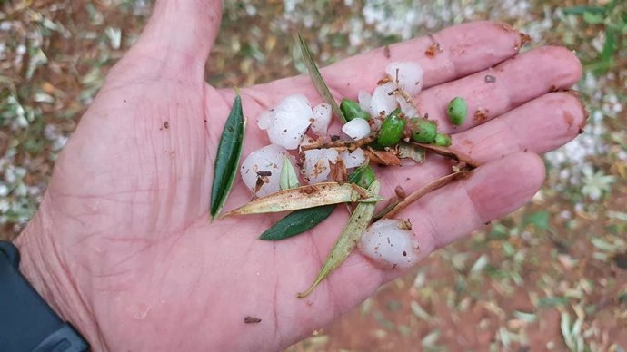 Muestra del tamaño de los granizos caídos con la tormenta