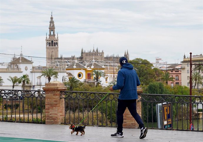 Archivo - Un joven pasea a su mascota por el puente de Triana.