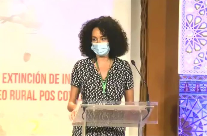 La vicepresidenta de Innovación Local de la Diputación,  Lourdes Martín, en un acto en Sevilla.