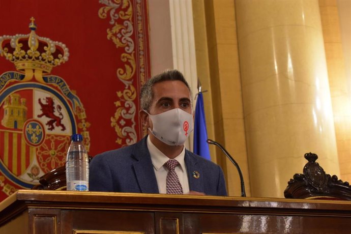 El vicepresidente de Cantabria y consejro, Palo Zuloaga, en su comparecencia en el Senado