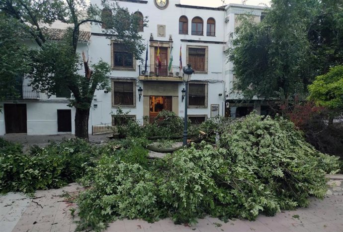 Destrozos de la tormenta