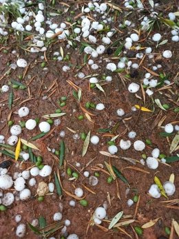 Granizo caído con las tormentas