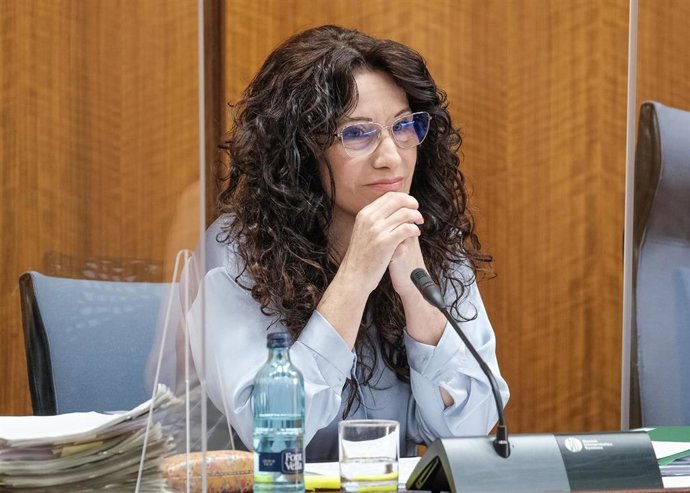 La consejera de Iguldad, Políticas Sociales y Conciliación, Rocío Ruiz, en comisión parlamentaria