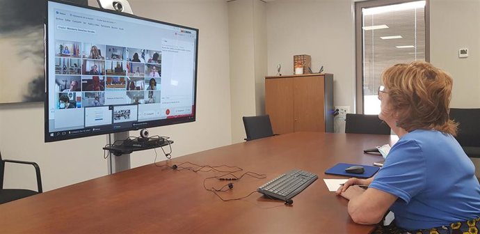 La consejera del Gobierno de Aragón María Victoria Broto participa de forma telemática en el Consejo Territorial de Servicios Sociales.