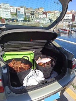 Dos capazos con marisco y pescado intervenido en operativo contra furtuvismo en Fisterra (A Coruña).