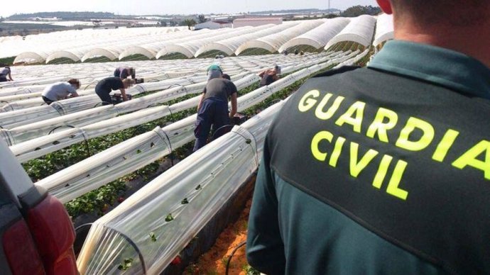 Guardia Civil inspecciona una explotación agraria.