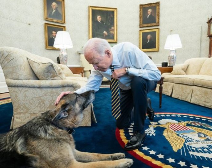Champ, uno de los perros del presidente Joe Biden
