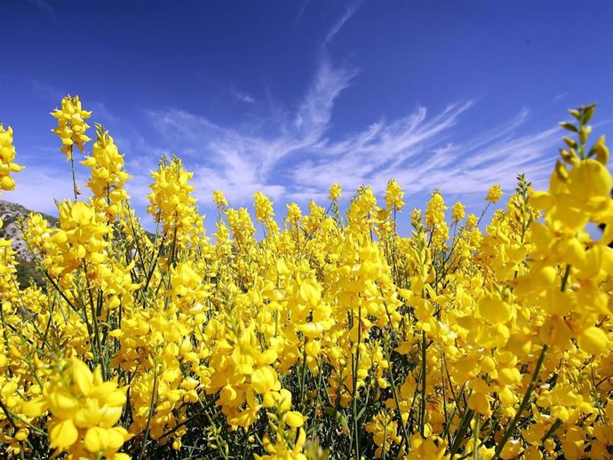 Archivo - LA CANADA, CA - JUNE 21  Getty Images