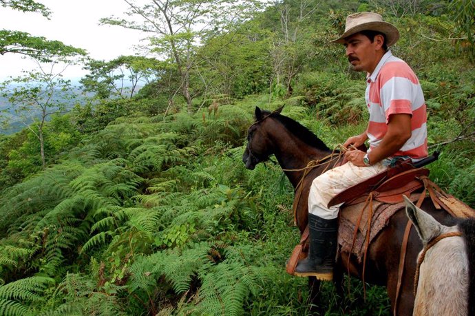 Carara National Park in Costa Rica  man on horseback - "Photo courtesy of Trees for All