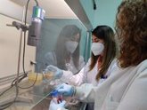 Foto: Investigadores del Ifapa de Córdoba identifican compuestos de la frambuesa que protegen al colon frente al cáncer