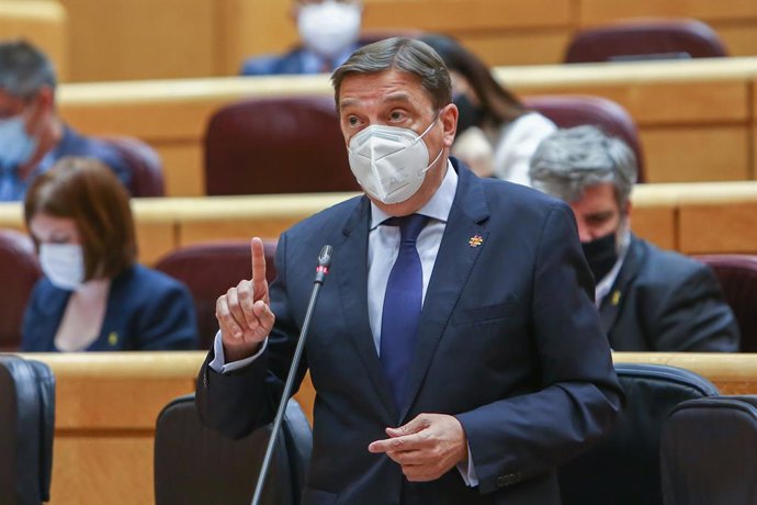 El ministro de Agricultura, Pesca y Alimentación, Luis Planas, interviene en una sesión de control al Gobierno, a 8 de junio de 2021, en el Senado, Madrid, (España). La sesión, marcada por la ausencia del presidente del Gobierno debido a su viaje oficia
