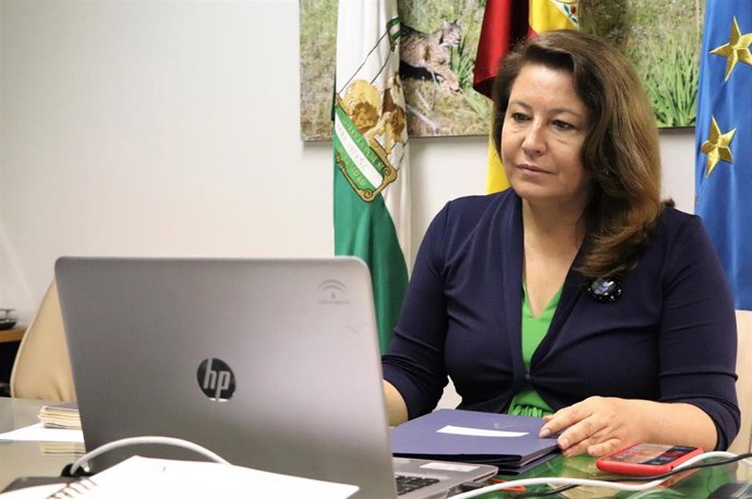 Archivo - La consejera de Agricultura, Ganadería, Pesca y Desarrollo Sostenible, Carmen Crespo, en una imagen de archivo de su participación en la Conferencia Sectorial de Pesca.