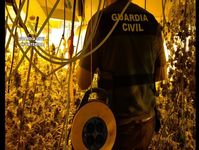 Vídeo de la noticia