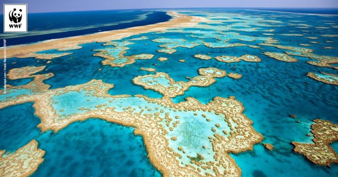 Archivo - Imagen de archivo de la Gran Barrera de Coral. 