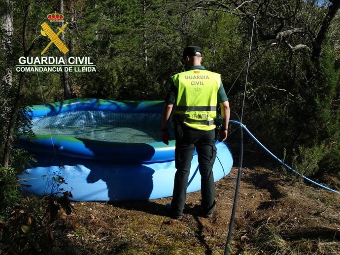 La Guardia Civil halla la plantación en Lleida.