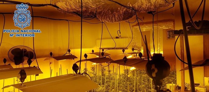 Operativo contra la droga en el Zaidín