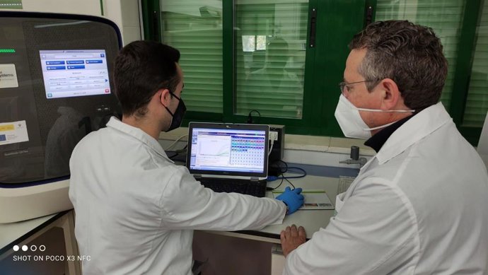 Archivo - Investigación