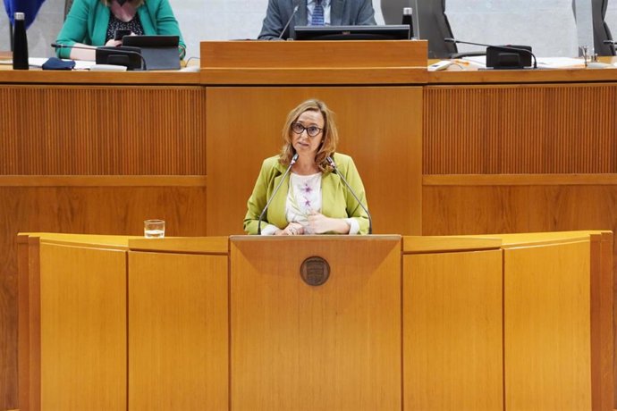 La consejera de Presidencia del Gobierno de Aragón, Mayte Pérez.