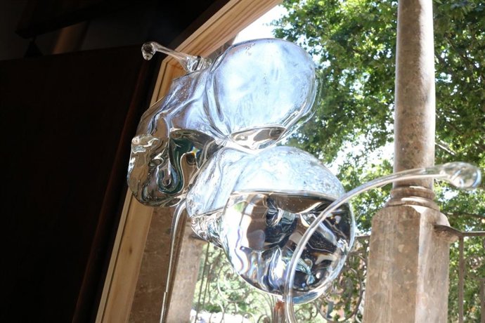 Exposición 'L'objecte del Vincle' en el Casal Solleric.