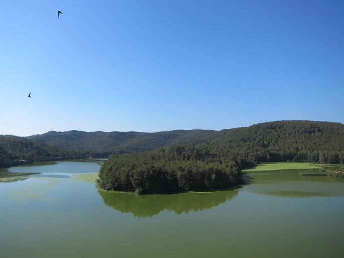 Archivo - Al acto han asistido: El secretario general de Abertis, José Maria Coronas; el secretario de Estado de Medio Ambiente, Federico Ramos; el director de la División de Ecología y Ciencias de la Tierra de la Unesco, Qunli Han, y el embajador deleg