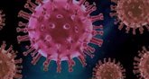 Foto: Científicos diseñan una vacuna universal contra los coronavirus que funciona en ratones