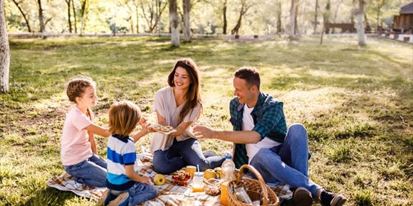 2. Pautas para fomentar hábitos saludables en familia