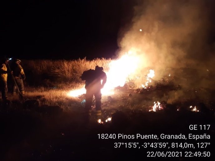 Imágenes de la intervención del Infoca en el incendio forestal en Pinos Puente (Granada), ya extinguido.