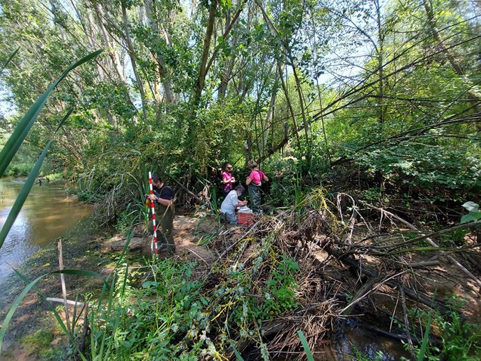 Trabajos del grupo de investigación TEMSUS de la UCAV en la cuenca del Duero.