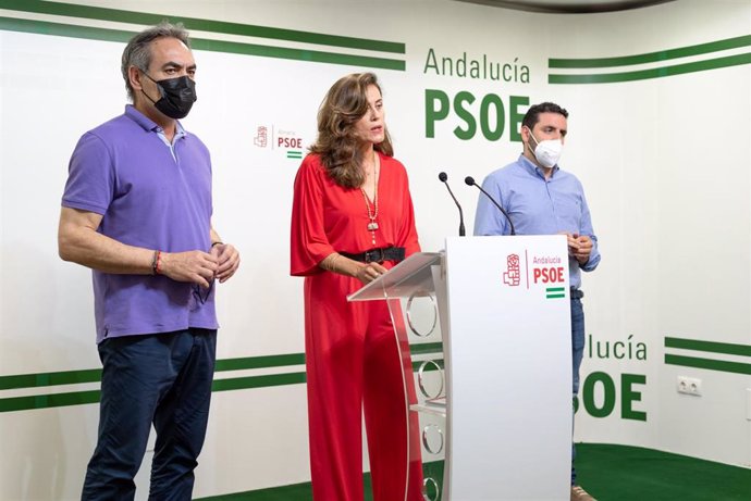Los diputados provinciales del PSOE Marcelo López, Carmen Aguilar y Juan Manuel Ruiz
