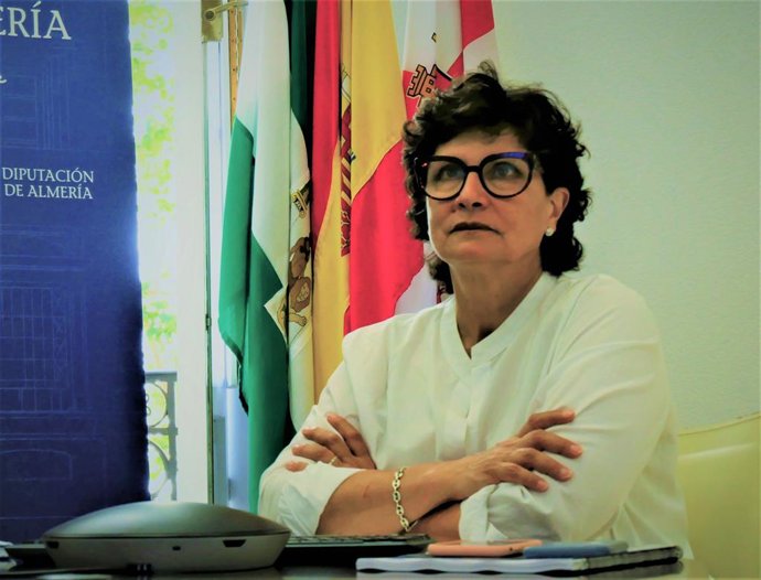 Carmen Navarro durante su intervención en el webinar
