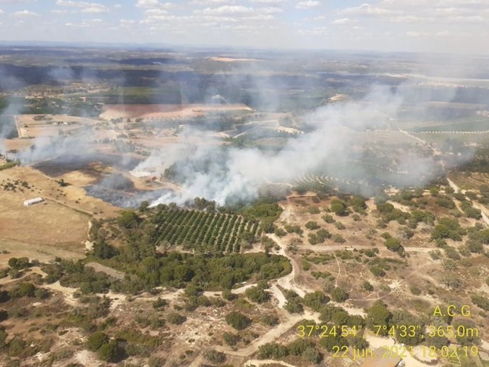 Imagen del incendio declarado en un paraje de San Bartolomé de la Torre.