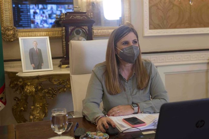 La presidenta de la Diputación de Cádiz, Irene García, durante el Pleno de la Diputación.