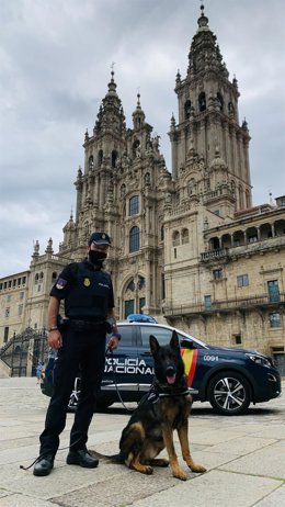 Agente canino de la Policía Nacional.