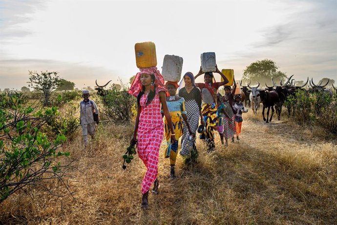 Archivo - HINDOU OUMAROU IBRAHIM 2021 Rolex Awards Laureate Hindou Oumarou Ibrahim uses indigenous peoples traditional knowledge to map natural resources and prevent climate conflicts in the Sahel.