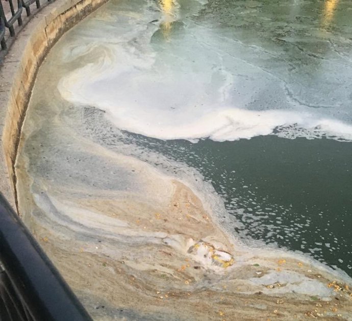 Estanque de Parque de los Príncipes