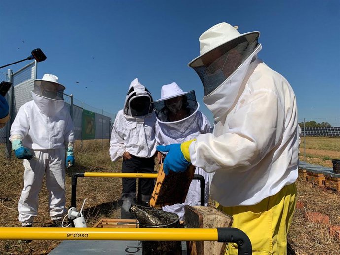 Endesa promueve, en colaboración con el Ayuntamiento de Carmona (Sevilla), un curso de formación para 16 apicultores