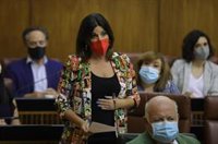 Férriz en su estreno como portavoz del PSOE-A: "El efecto Espadas ha venido para quedarse y terminará en la Junta"