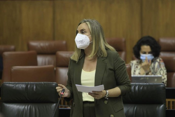 Huelva.- Carazo dice que tres de cada cuatro municipios onubenses no tienen sus planes generales adaptados a la LOUA