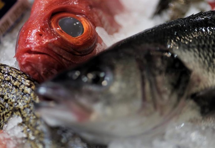 Pescado expuesto en un stand durante el día de apertura de Madrid Fusión 2021 en Feria de Madrid IFEMA