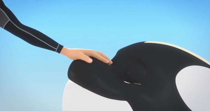 Loro Parque celebra el estreno de un cortometraje sobre la orca.