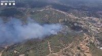 Estabilizado el incendio en Argentona (Barcelona) que ha afectado 11 hectáreas