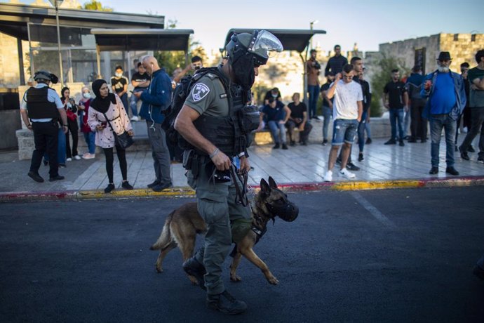17 June 2021, Israel, Jerusalem: A member of the Israeli security forces leads his police dog during clashes with Palestinians near the Damascus Gate of the Old City of Jerusalem. Photo: Ilia Yefimovich/dpa