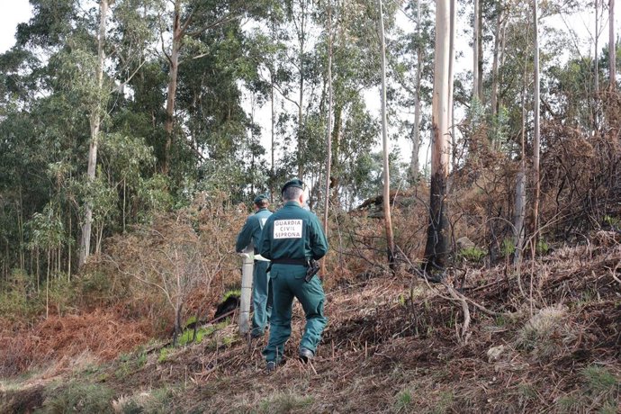 Archivo - Inspección ocular en el incendio forestal declarado en Covadonga.