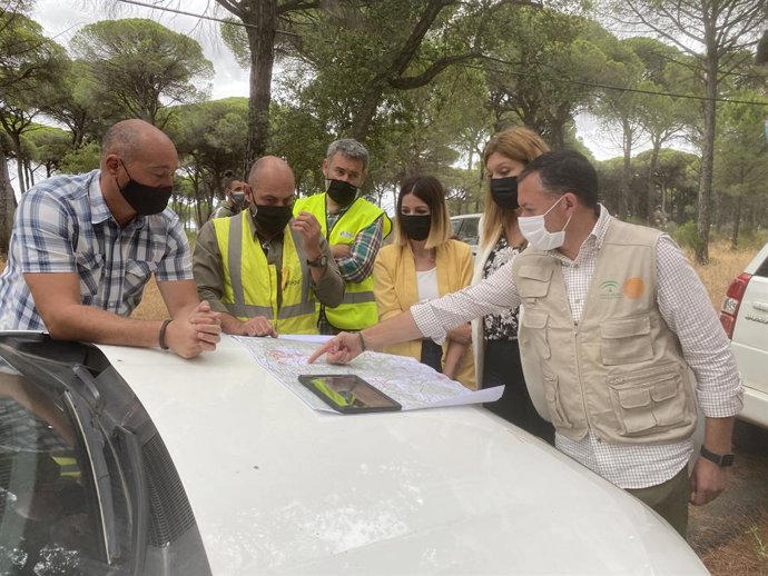 El delegado de Desarrollo Sostenible en Huelva, José Enrique Borrallo, en su visita a las obras de limpieza y gradeo de cortafuegos en el monte municipal 'El Saltillo' de Valverde del Camino (Huelva).