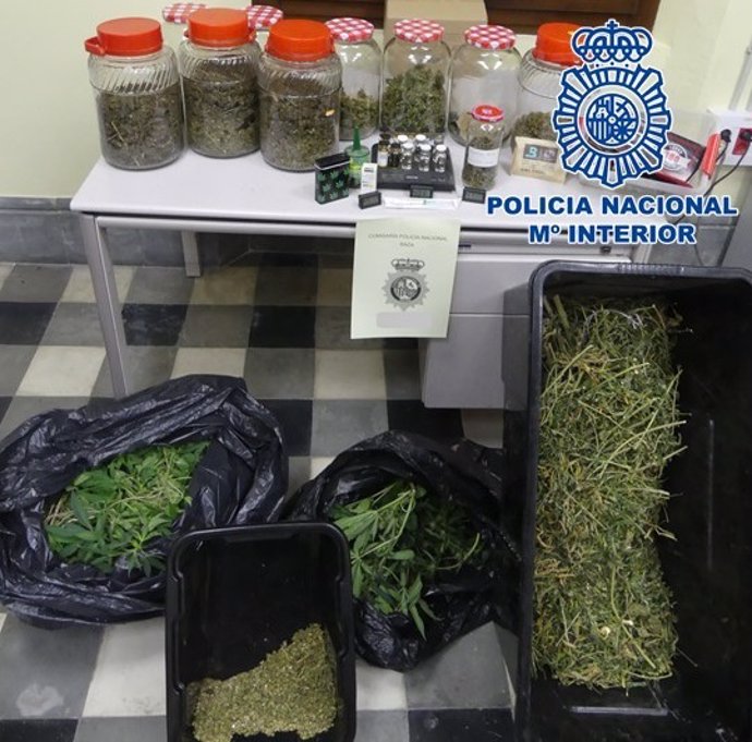 Marihuana incautada por la Policía Nacional