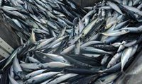 Pescadores de UE piden boicotear los productos del mar noruegos por la apropiación ilegal del cupo de pesca