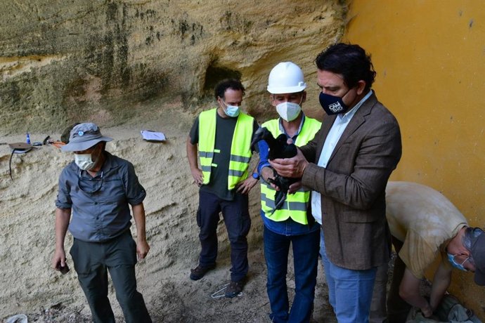 Anillamiento de pollos de ibis eremita